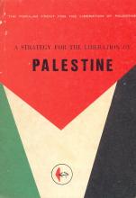 Strategy for the Liberation of Palestine (A)