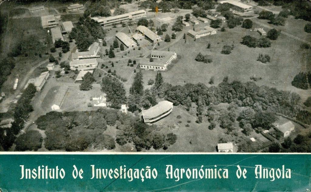 Instituto de Investigação Agronómica de Angola
